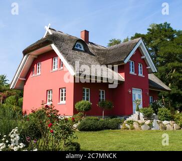 Rotes Haus mit Reetdach und geplegtem Garten an der Ostsee Ferienhaus Stockfoto