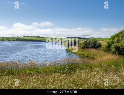 Blick vom Weg um den Upper Tamar Lake, an der Grenze von Devon / Cornwall, Großbritannien. Stockfoto