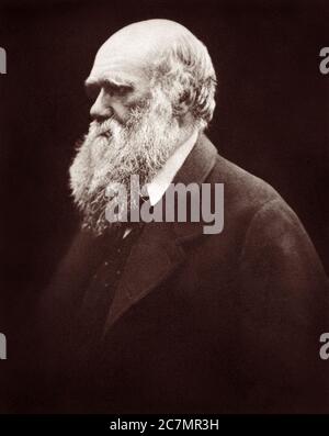 Charles Robert Darwin (1809-1882), Evolutionist und Autor von On the Origin of Species, in einem fotografischen Porträt von Julia Margaret Cameron aus dem Jahr 1868. Stockfoto