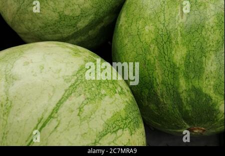 Nahaufnahme von drei runden saftigen Wassermelonen Stockfoto