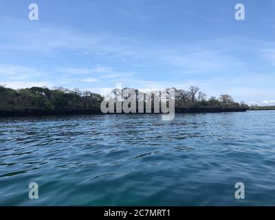 Tropische Landschaft von Wasini Island an der schönen Küste von Kenia, Afrika Stockfoto