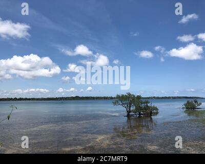 Tropische Landschaft von Wasini Island an der schönen Küste von Kenia, Afrika Stockfoto