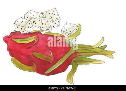 Aquarell Skizze saftige Drachenfrucht Stockfoto