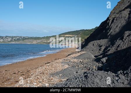 Strand von Charmouth, Dorset Stockfoto