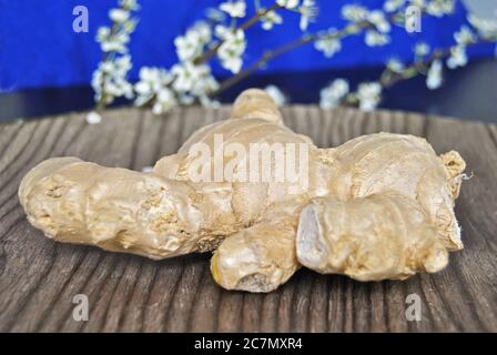 Nahaufnahme der weißen Ingwerwurzel auf einer hölzernen Oberfläche Stockfoto