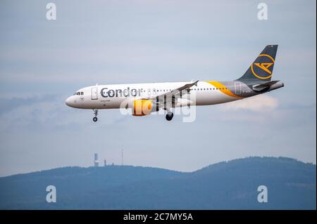 Airbus A320-Flugzeug D-AICD von Condor bei der Landung auf dem Frankfurter Flughafen in Deutschland Stockfoto