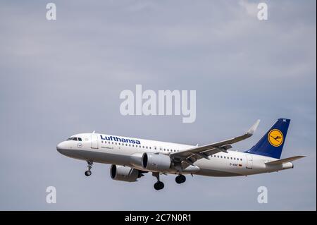 Lufthansa Airlines Airbus A320neo D-AINE in Landekonfiguration auf dem Landeanflug am Frankfurter Flughafen Stockfoto