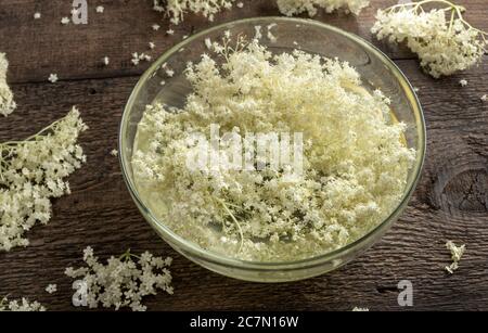 Zubereitung von Kräutersirup aus frischen Holunderblüten Stockfoto