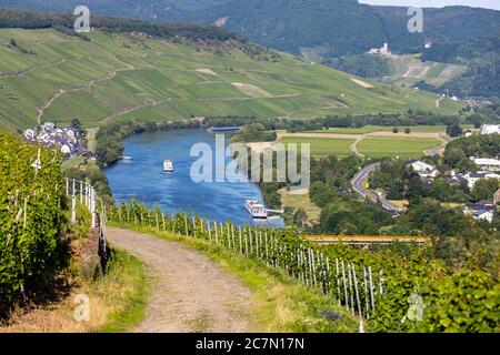 Landschaftlich reizvolle Aussicht auf die Mosel mit Schiffen nahe dem Dorf Mülheim mit Weinberg im Vordergrund Stockfoto