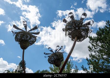 Seed Head Skulpturen auf dem Pinetum Skulpturenpfad in Sir Harold Hillier Gardens in Hampshire, Großbritannien Stockfoto