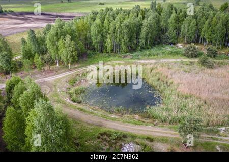 Kleiner künstlicher Teich im Wald in WeGrow County, Polen Stockfoto