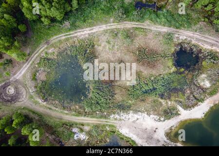 Kleiner künstlicher Teich im Wald in WeGrow County, Polen Stockfoto