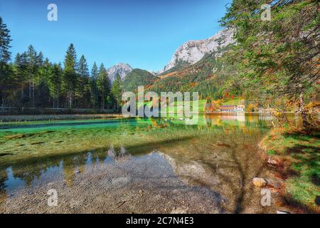 Fantastischer Herbstaufgang am Hintersee. Schöne Baumlandschaft in der Nähe des türkisfarbenen Wassers des Hintersees. Lage: Resort Ramsau, Nationalpark Be Stockfoto