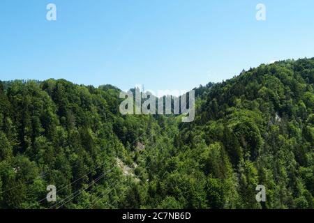 Zwei kleine Hügel, die von Mischwäldern bedeckt sind. Zwischen ihnen befinden sich Drähte oder Kabel für den Transport von Elektrizität und eine Säule oder ein Mast am Horizont. Stockfoto