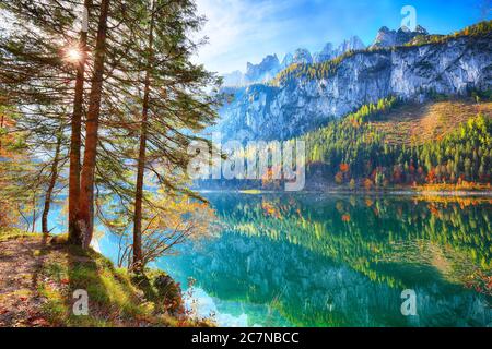 Wunderschöne Aussicht auf idyllischen bunte Herbstlandschaft mit Dachstein Gipfel in glasklaren Gosausee Bergsee im Herbst widerspiegelt. Salzkamme Stockfoto