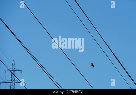 Elektrische Drähte oder Kabel schließen sich mit einem Vogel, der zwischen ihnen fliegt, ein Kontrast. Im Hintergrund befindet sich eine Hochspannungs-Strom- und Energiesäule. Stockfoto