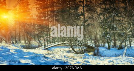 Winter frostige Bäume und alte Schneebrücke im Winterpark. Winter Natur mit Winter verschneiten Bäumen Stockfoto