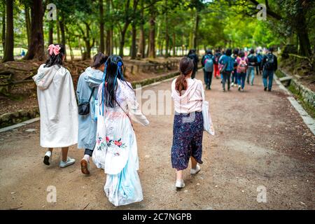 Nara, Japan - 15. April 2019: Menschen Touristen am Kasuga-Jinja-Schrein zu Fuß auf dem Weg durch Nara-Park tragen Cosplay-Kostüm Stockfoto