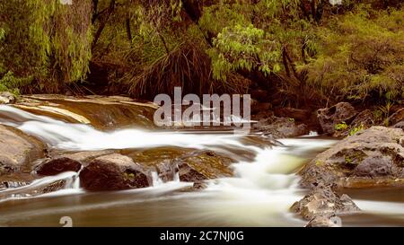 Kaskaden in Pemberton Western Australia, wo der Lefroy Brook über die Felsen fließt Stockfoto