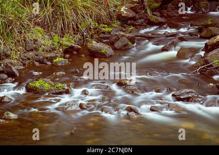 Kaskaden in Pemberton Western Australia, wo der Lefroy Brook über die Felsen fließt Stockfoto