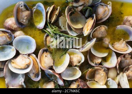 Draufsicht auf gedünstete Muscheln mit Sauce Stockfoto