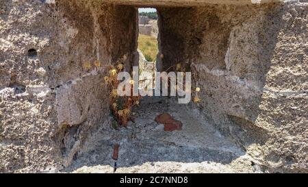 Eine historische Schießscharten, eine Lücke in einer alten Festungsmauer. Rhodos. Griechenland. Blick von innen. Trockene Blume in einer Schlupfloch in einer historischen Mauer Stockfoto