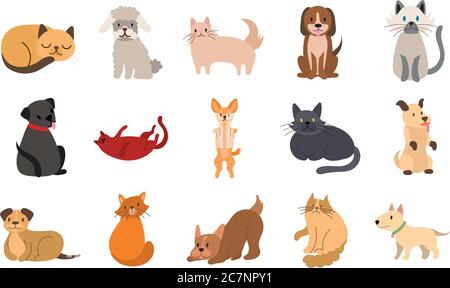 Bündel von Katzen und Hunde Set Icons Vektor Illustration Design Stock Vektor