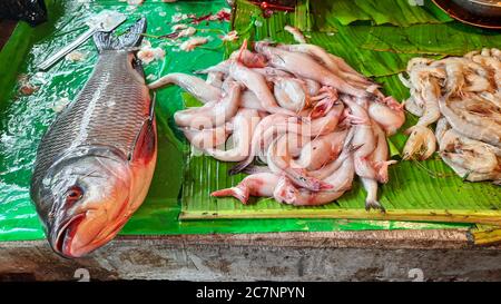 Lokaler Fischmarkt mit Süßwasser und Meeresfischen Verkauf bei Kolkata Stockfoto