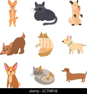 Bündel von Katzen und Hunde Set Icons Vektor Illustration Design Stock Vektor