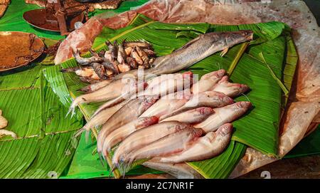 Lokaler Fischmarkt mit Süßwasser und Meeresfischen Verkauf bei Kolkata Stockfoto