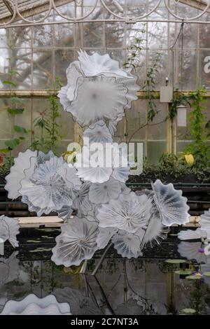 LONDON, VEREINIGTES KÖNIGREICH - 16. Apr 2019: Chihuley Glaswasserlilien im Waterlily House in Kew Gardens, London Stockfoto