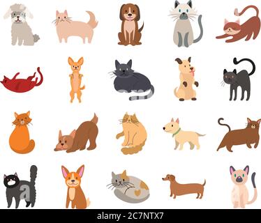 Bündel von Katzen und Hunde Set Icons Vektor Illustration Design Stock Vektor