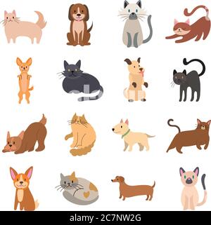 Bündel von Katzen und Hunde Set Icons Vektor Illustration Design Stock Vektor