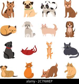 Bündel von Katzen und Hunde Set Icons Vektor Illustration Design Stock Vektor