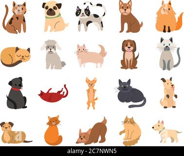 Bündel von Katzen und Hunde Set Icons Vektor Illustration Design Stock Vektor