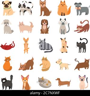 Bündel von Katzen und Hunde Set Icons Vektor Illustration Design Stock Vektor