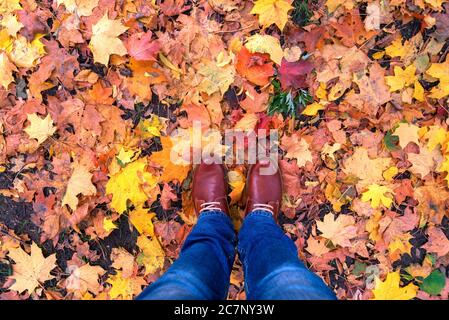 Herbst Stiefel Blätter Hintergrund Mode trendy Stil Stockfoto