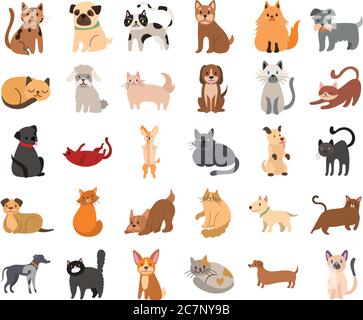 Bündel von Katzen und Hunde Set Icons Vektor Illustration Design Stock Vektor
