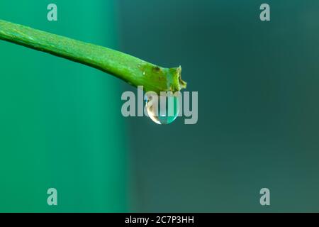 Wassertropfen Bild Auf Weichzeichnen Grüner Hintergrund. Stockfoto