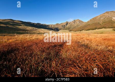 Tal in den Bergen bei Puy Sancy in der französischen Auvergne. Stockfoto