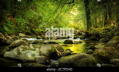 Ruhige Aussicht auf den Fluss Plym auf Dartmoor Stockfoto