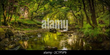 Ruhige Aussicht auf den Fluss Plym auf Dartmoor Stockfoto