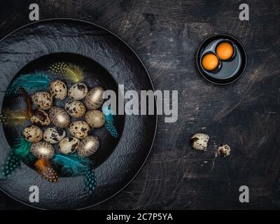 Natürliche Wachteleier, goldfarbene Eier und bunte Federn in schwarzer Schale. Stockfoto