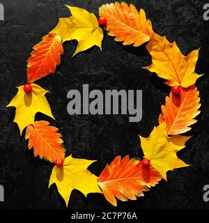 Herbstkomposition. Heller Kranz aus Herbstahorn und Ebereschen-Blättern, Vogelbeeren auf schwarzem Hintergrund. Runder Rahmen. Flach liegend. Draufsicht Stockfoto