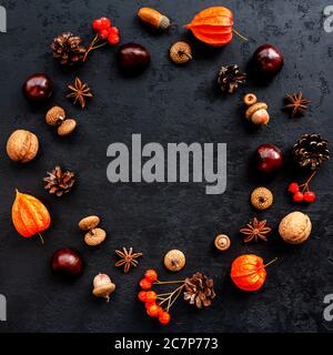 Herbstkomposition. Kranz aus Eicheln, Kastanien, Pinienzapfen, Walnüssen, Anis, Physalis, Vogelbeeren auf schwarzem Hintergrund. Runder Rahmen Stockfoto