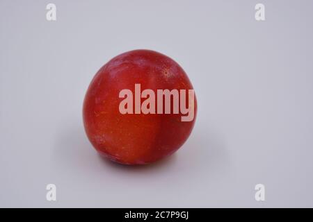 Eine große Frucht eines großen Dessert Kirsche Pflaume, eine frühe Sorte und Ernte wächst in der Ukraine. Verschwenden Sie süße, gesunde Früchte für Ihre Gesundheit und Ihr Leben. Stockfoto