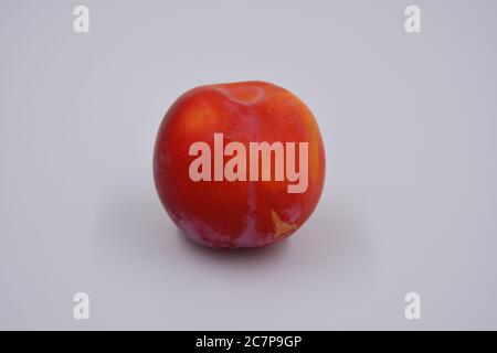 Eine große Frucht eines großen Dessert Kirsche Pflaume, eine frühe Sorte und Ernte wächst in der Ukraine. Verschwenden Sie süße, gesunde Früchte für Ihre Gesundheit und Ihr Leben. Stockfoto