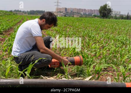 Landwirtschaft, Landwirt in Maisfeld fix Bewässerungssystem Stockfoto