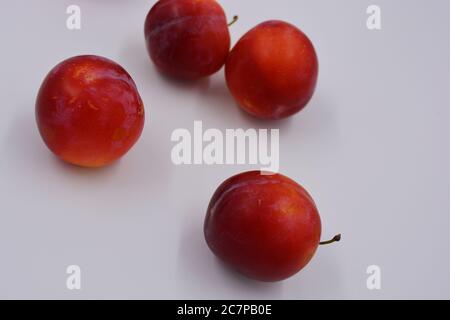 Rot, Kirsche frühe Sorte von Kirsche Pflaume früh, die wächst und wächst auf dem Gebiet der Ukraine. Köstliche süße Sommerfrüchte, frisch und gesund. Stockfoto