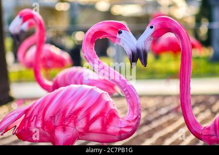 Belgrad / Serbien - 15. Februar 2020: Chinesisches Mondfest Neujahr Flamingos-förmige Laternen in Belgrad Festung Kalemegdan Park in Belgrad, Hauptstadt von S Stockfoto